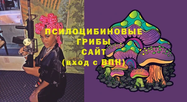 спайс Богданович