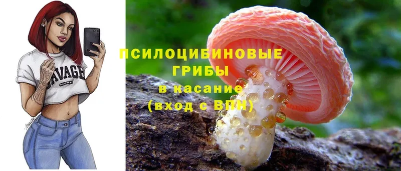 Галлюциногенные грибы GOLDEN TEACHER  сайты даркнета наркотические препараты  Буинск 